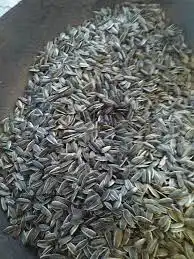 نتالي بزر ميال فحل 100غ