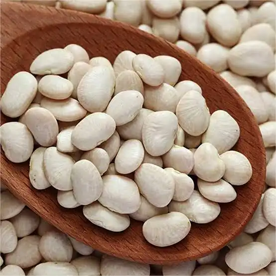 الاحلام فاصولياء حب عريضة 1كغ