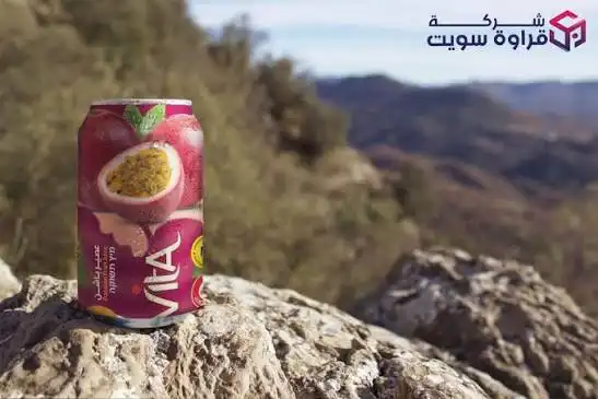 دولتشي فيتا عصير طبيعي 240مل
