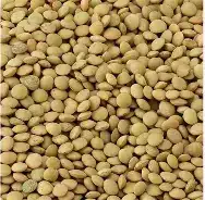 الناصر عدس حب ابيض 1 كغ