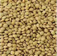 الفخامة عدس حب ابيض 1 كغ