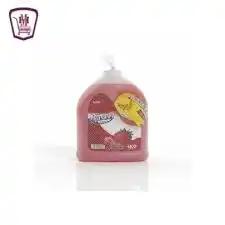 هدية البيت صابون سائل كيس 400غ